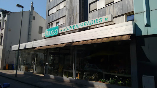 Blumen Bausch