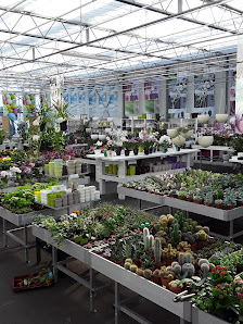 Monheimer Blumenmarkt