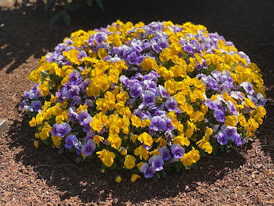 GRABPFLEGE STEGUWEIT | Friedhofs- und Blumenfachgeschäft Manfred Steguweit e.K.