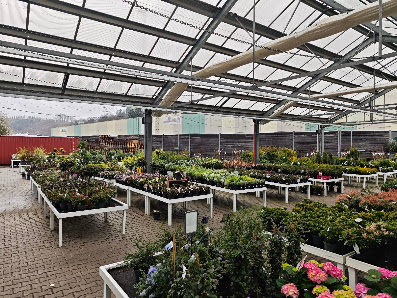 Blumen Risse Gartencenter Kreuztal