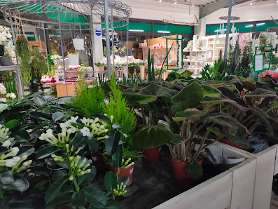 Blumen & Gartencenter Vier Jahreszeiten GmbH