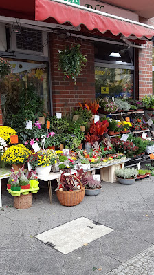 Blumen und Pflanzen Inh. Chi Nguyen