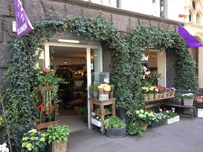 Blumenhaus Georg