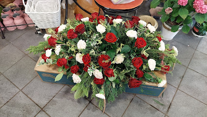 Blumen Hoffmann - Moers-Repelen