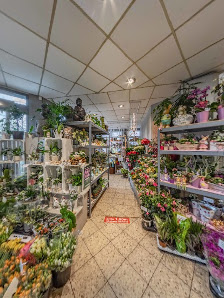 Blumen Spangenberg Moers