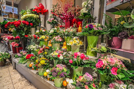 Blumen Spangenberg Moers