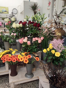 Blumen holleander