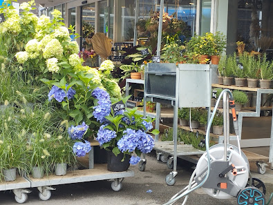 BLUME2000 Witten Bonipark