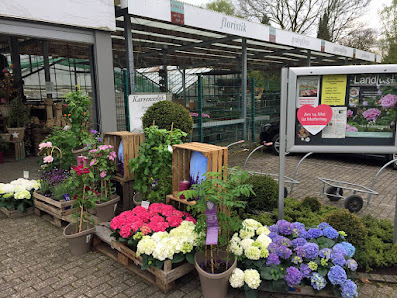 Gärtnerei und Blumenladen Asbeck