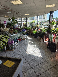 Blumen Schmidt