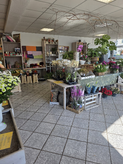 Blumen Schmidt