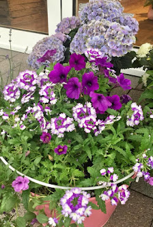Blumen Austmann