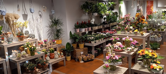 Blumen Risse Blumenladen Gütersloh