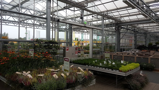 Gartencenter Brockmeyer