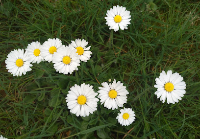 Garten in Gütersloh