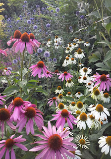 Bellis Gartenplanung