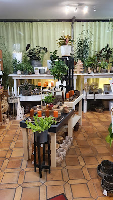 Blumen Kreativ Die Floristik-Werkstatt e.K.