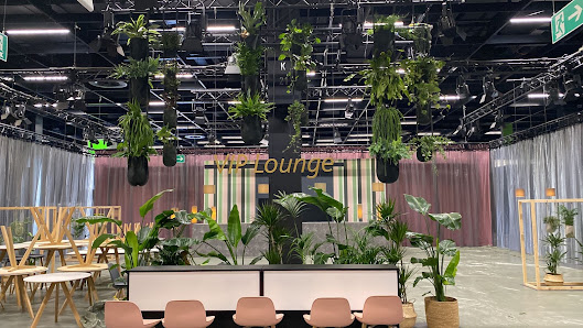 Eventfloristik.koeln - BLUMEN STEGUWEIT