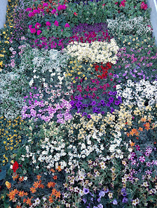 Gartenspektrum Glaser