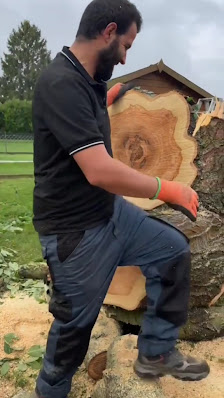 Hafir Gartenbau