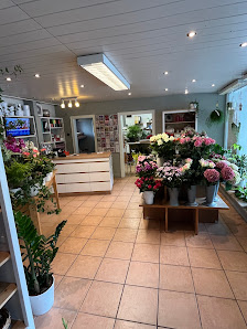 Blumenhaus van der Meyden GmbH