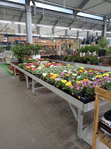 Central Gartencenter GmbH