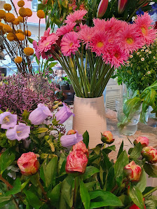 Blumen Senger