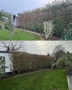 Schneider & Steffan GbR Garten- & Landschaftspflege