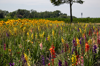 Beckmanns Blumen