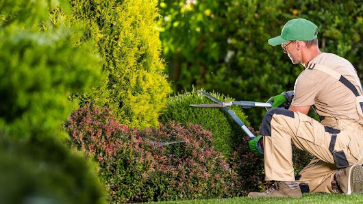 Helping Green - Gartenpflege & Landschaftsbau