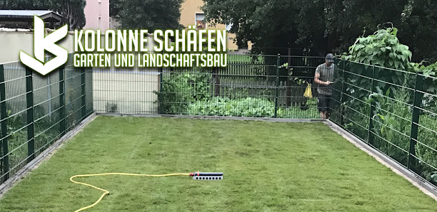 Kolonne Schäfen Garten und Landschaftsbau