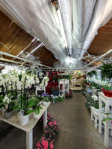 Blumenhaus Maria Straatman