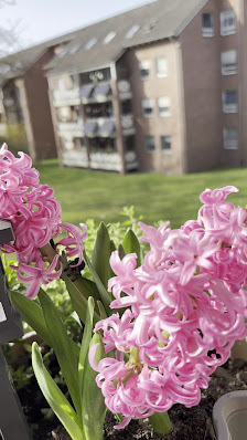 Blumen Risse Gartencenter Lünen