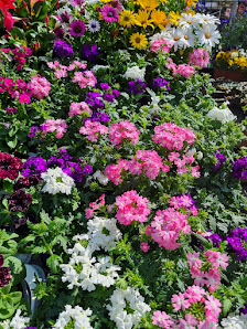 Baasner´s Blumenlädchen