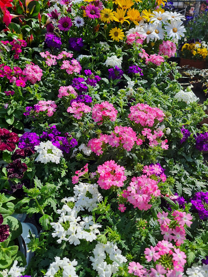 Baasner´s Blumenlädchen