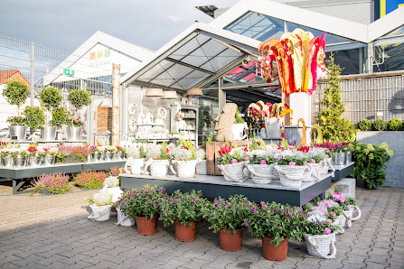flora-point Blumenshop GmbH