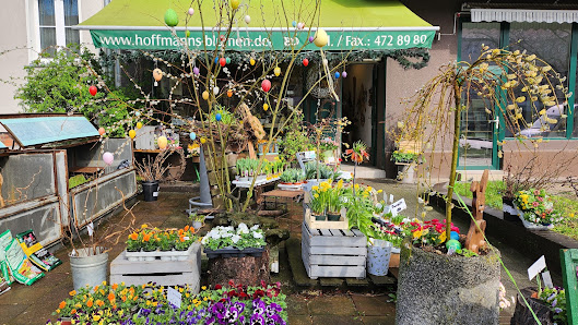 Blumen Hoffmann