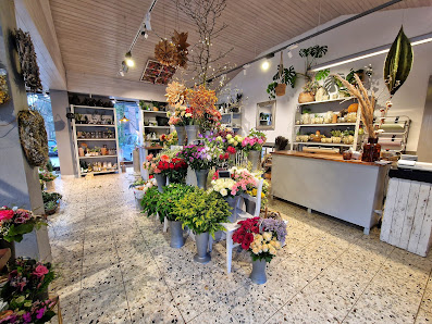 Ambiente Blumen F. A. Plogstert