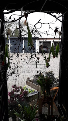 Gärtnerei Schwagmeier