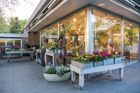 Blumen Elke Drewes