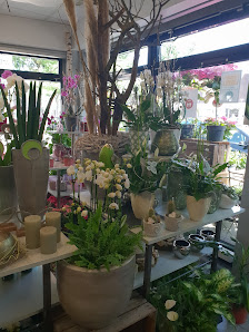 Blumen Haverott Inh.Sonja Reineck