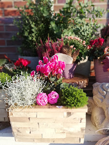 Blumen Ottenhues Schotthock