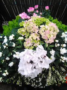Blumenhaus Krosse
