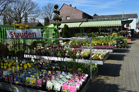 Blumenhaus Fremming | Blumengeschäft, Gärtnerei & Friedhofsgärtner