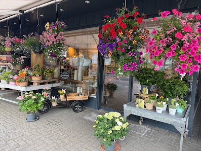 Blumenhaus Fremming | Blumengeschäft, Gärtnerei & Friedhofsgärtner