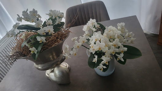 Rieke Blumen GmbH