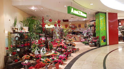 A-Z Blumen