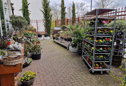 Christa's Blumenoase Floristik und Friedhofsgärtnerei