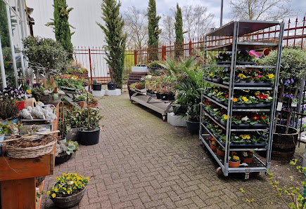 Christa's Blumenoase Floristik und Friedhofsgärtnerei