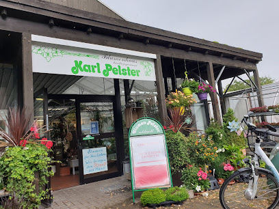 Karl Pelster